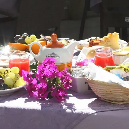 贝尔维尔酒店 酒店