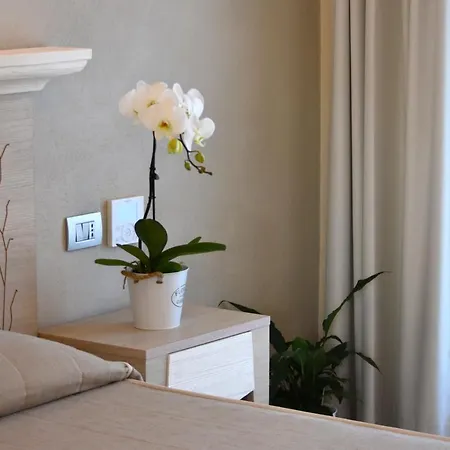 酒店 贝尔维尔酒店 维拉西米乌斯